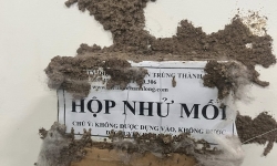 Diệt Mối Chúa Tây Ninh