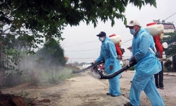 Phun thuốc diệt muỗi tại nha trang - Cty diệt mối thành long