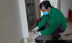 Công ty diệt mối tại Bình Tân | Sạch 100% mối – BH dài hạn