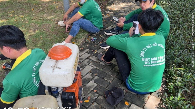 Diệt mối tại xã Đông Thành tỉnh Nghệ an