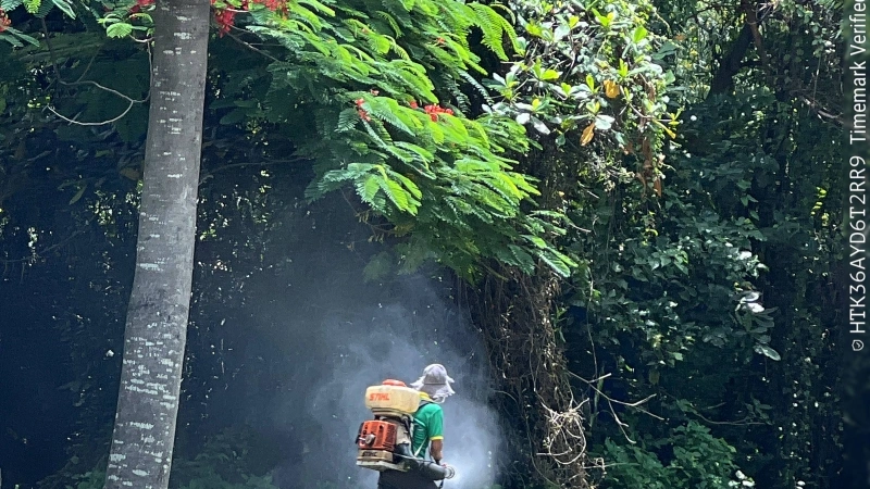 Diệt mối tại phường chánh hưng thành phố Hồ Chí Minh
