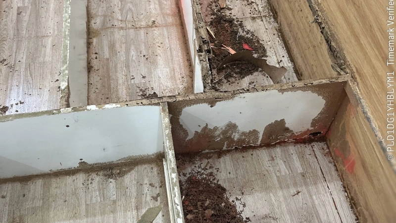 Diệt Mối Xã Củ Chi Tphcm