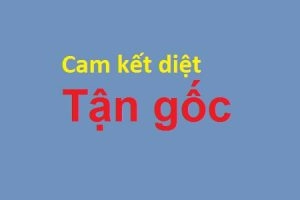 Cam kết chất lượng dịch vụ của công ty
