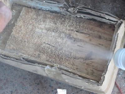 Xịt thuốc bột pmc90