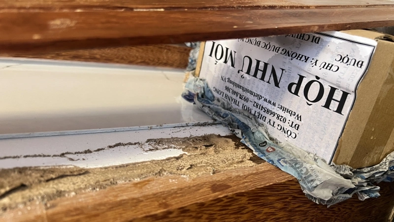 Diệt mối dịch vụ diệt mối quận 7