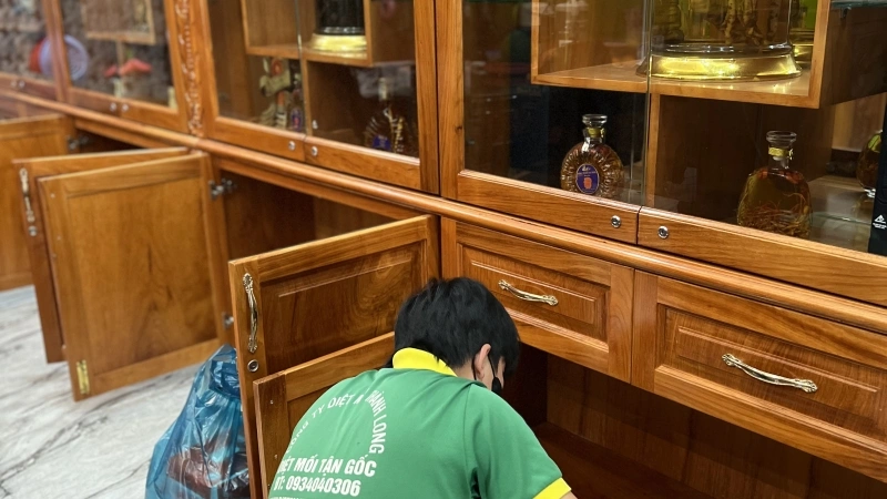 Diệt mối tại xã Nhà Bè