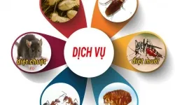 Diệt mối tận gốc Nam Đàn - Nghệ An