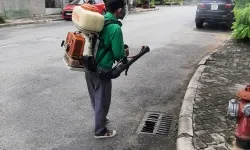 Dịch vụ phun muỗi tại TP.HCM