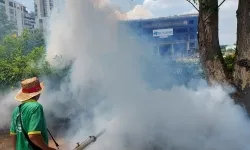 Dịch vụ phun thuốc diệt muỗi, côn trùng tại TP Hồ Chí Minh