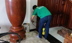 Diệt mối tận gốc quận 9 - công ty diệt mối Thành Long