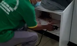 Diệt mối quận Bình Tân