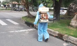 Cách Diệt Gián Độc Đáo