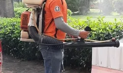 Dịch Vụ Diệt Côn Trùng