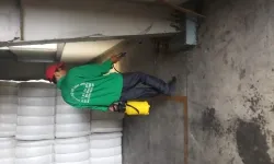 diệt mối tại quận 2