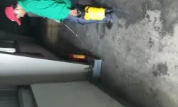 Quy trình phòng chống mối cho công trình xây dựng