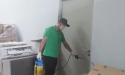 Diệt mối sinh học TP.HCM