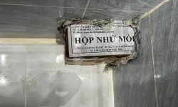 Diệt Mối Tận Gốc Uy Tín Tại Nha Trang