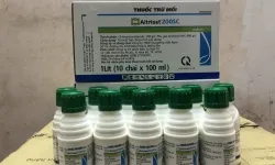 BÁN THUỐC DIỆT CÔN TRÙNG TẠI DIỄN CHÂU