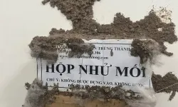 Diệt Mối Chúa Tây Ninh