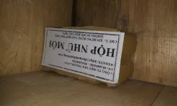 Diệt Mối Tận Gốc Cam Ranh
