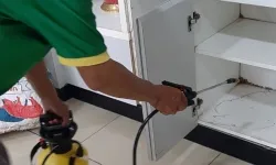 Diệt mối tận gốc Huyện Củ Chi TP.HCM
