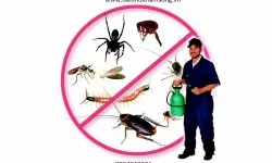 Diệt Chuột Bằng Vi Khuẩn Biorat