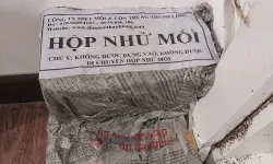 DỊCH VỤ PHÒNG CHỐNG MỐI CÔNG TRÌNH XÂY DỰNG TẠI KHÁNH HÒA