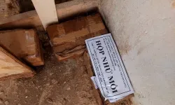 Diệt mối tại nhà quận Bình tân