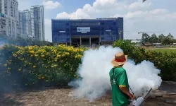 Dịch vụ diệt côn trùng tại Bình Dương