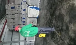 Dịch vụ diệt mối quận Thủ Đức
