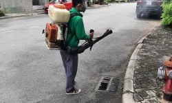 Diệt mối tận gốc/diệt mối tận gốc Thủ Dầu Một Bình Dương