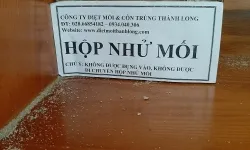 Diệ mối Lâm Đồng- công ty diệt mối thành long
