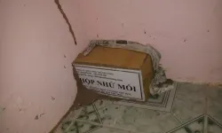 Diệt mối tận gốc Củ Chi - công ty diệt mối thành long