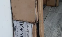 Dịch vụ diệt mối tận gốc tại Đồng Nai