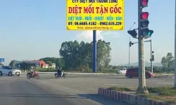 Diệt mối tận gốc quận 9 - tp Thủ Đức