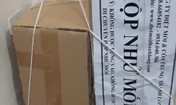 Địa chỉ diệt mối Đồng Nai