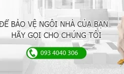 Diệt mối dịch vụ diệt mối quận 8