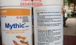 Dịch vụ diệt mối quận Phú Nhuận