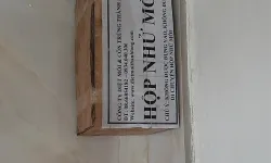 Dịch vụ diệt mối tận gốc tại văn phòng quận 4 –TPHCM