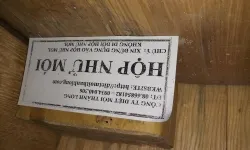 Diệt Mối Tận gốc Kiên Giang  -  công ty diệt mối thành long