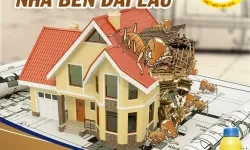 Hướng dẫn diệt mối tận gốc tại nhà