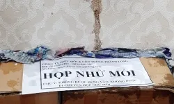 Cần diệt mối an toàn cho chung cư tại Bình Thạnh