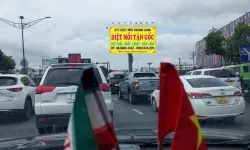 Diệt mối tại Gò Vấp