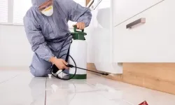 Diệt Mối Huyện châu Thành ,Tây Ninh Cách Hiệu Quả và An Toàn Nhất