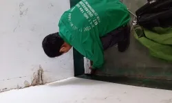 Diệt mối tại Đắc Nông- công ty diệt mối Thành Long