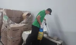 Tại sao trong nhà có mối? Thuốc diệt mối chính hãng và hiệu quả