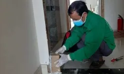 Diệt mối tận gốc tại nhà quận 4