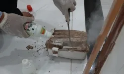 Diệt mối diệt mối tận gốc TPHCM