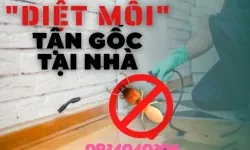 Dịch vụ diệt mối quận 3