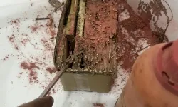 Diệt mối tận gốc tại khánh hoà